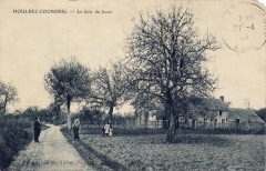 HC-Le-bois-du-Houx